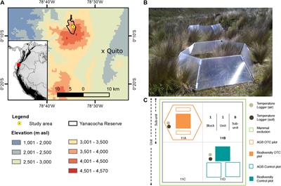 Microclimatic Warming Leads to a Decrease in Species and Growth Form Diversity: Insights From a Tropical Alpine Grassland